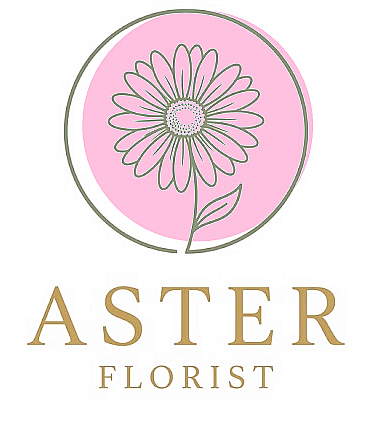 Aster Florist